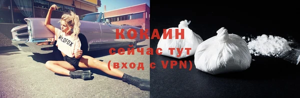 гашик Белоозёрский