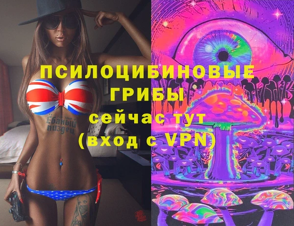 гашик Белоозёрский