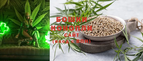 гашик Белоозёрский